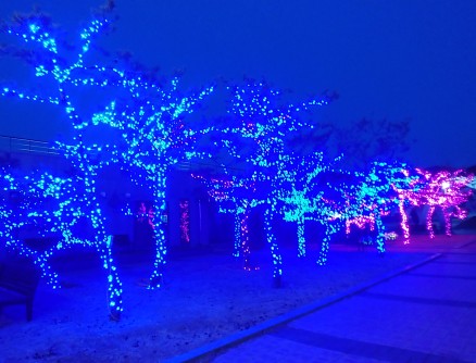 안동포타운의 야경